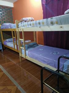 Ein Bett oder Betten in einem Zimmer der Unterkunft Hostel el Amanecer