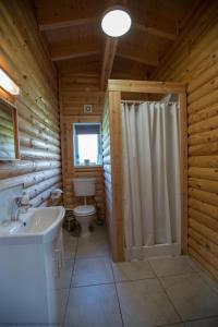 a bathroom with a toilet and a sink and a shower at Quail Lodge - Nordic Log Cabin in Selby