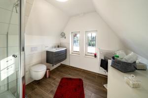y baño con aseo, lavabo y ducha. en Apartment 1 - Privatstall am Berghof, en Einbeck