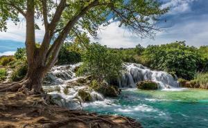 a waterfall with a tree in front of a river at Casa turística Poncehouse in Tomelloso