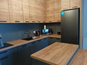 a kitchen with blue cabinets and a black refrigerator at Prawnicza50 in Żory