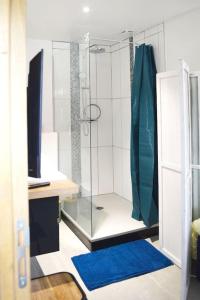 a bathroom with a glass shower with a blue rug at Gîte la Baronnière in Saint-Avertin