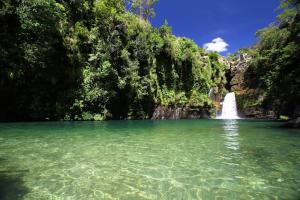 Peisaj natural din apropierea acestei case de vacanță