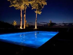 una piscina blu di notte con alberi in sottofondo di Le Stefanshof ad Amblève