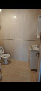 La salle de bains est pourvue de toilettes et d'un lavabo. dans l'établissement Воллен, à Zhvanets