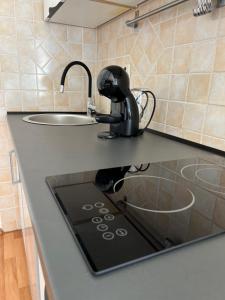 Kuchyň nebo kuchyňský kout v ubytování Kavajin Rooms