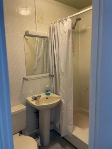 a bathroom with a sink and a toilet and a shower at earlsmere hotel in Hull