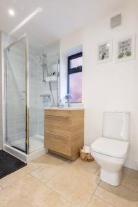 uma casa de banho com um WC e uma cabina de duche em vidro. em The Maisonette - Cultural Quarter - with parking! em Lincolnshire