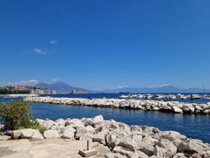 a body of water with rocks and a cross at Suite Home in Naples