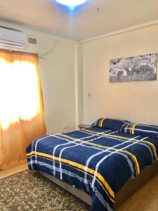 a bedroom with a blue and yellow bed and a window at LouieVille One Bedroom Apartment in Lusaka