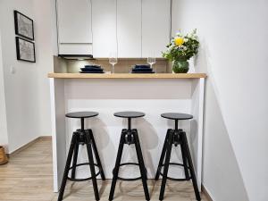Imagine din galeria proprietății Roman Apartman în Sremska Mitrovica