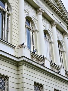 Imagine din galeria proprietății Roman Apartman în Sremska Mitrovica