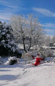 Photo de la galerie de l'établissement Chalet Alma, à Haus im Ennstal