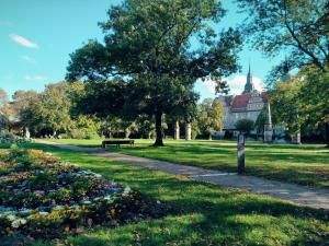 ein Park mit einer Bank, einem Baum und einem Gebäude in der Unterkunft Ritters Weinstuben in Merseburg