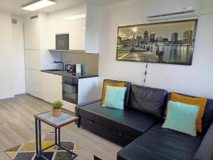 Apartament Gliwice Mewy في جليفيتش: غرفة معيشة مع أريكة سوداء وطاولة