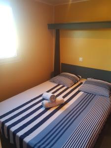 twee bedden in een kamer met handdoeken erop bij Cottage flottant Saint Jean de Losne option jacuzzi in Saint-Jean-de-Losne