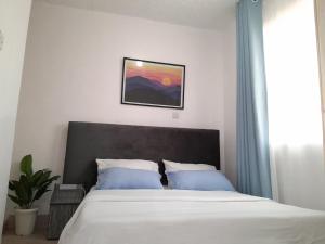 EmbuComfort Haven with Secure Parking & Unlimited WiFi的卧室里有一张床，墙上挂着一幅画
