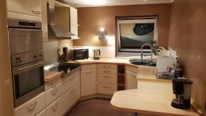 a small kitchen with a sink and a stove at Green Field Lodge in Lingolsheim