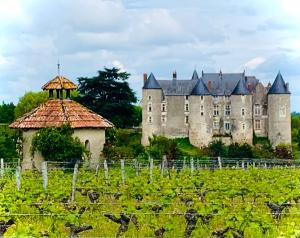 un viejo castillo con un viñedo delante de él en La Grange d Ave, en Luynes