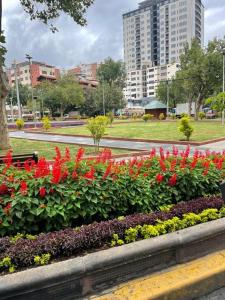 a garden of flowers in a park with buildings at Excelente ubicación Cochabamba in Cochabamba