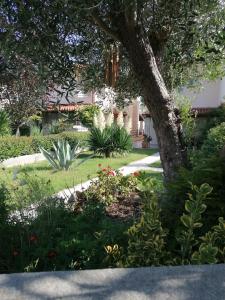 un jardin avec un arbre et quelques plantes dans l'établissement Albina's luxury Villa 3 bedroom, à Chaniotis