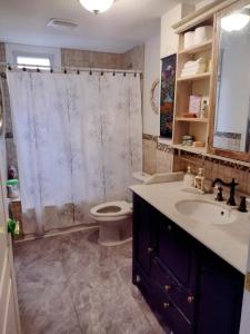 a bathroom with a toilet and a shower curtain at Montréal, Ahuntsic, 2 chambres, accueillant et charmant in Montréal