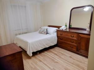 1 dormitorio con 1 cama y vestidor con espejo en Montréal, Ahuntsic, 2 chambres, accueillant et charmant en Montreal