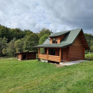 a log cabin with a green roof in a field at Vysoka brama дерев'яний будиночок з чаном in Oriv