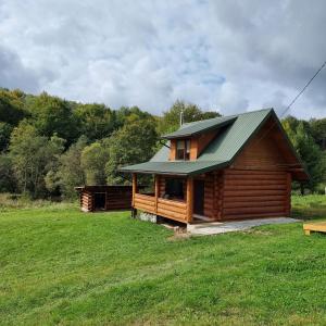a log cabin with a green roof in a field at Vysoka brama дерев'яний будиночок з чаном in Oriv