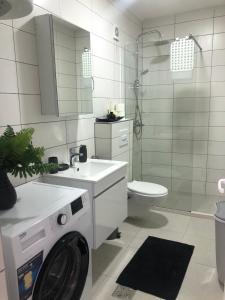 a washing machine in a bathroom with a toilet at Apartment Prizren New and Modern in Prizren