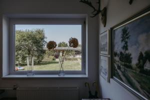 Ferienhaus Wallern im Burgenland في Wallern im Burgenland: نافذة في غرفة مع مزهريات على حافة النافذة