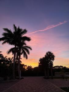 a sunset with two palm trees on a brick road at 2 Bed Cottage with Pool, Close to Beach! BBQ Grills & Patio in Fort Myers