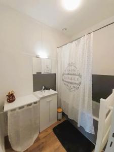 baño con lavabo y cortina de ducha en Vierzon (1) bel appart 4 pers, en Vierzon