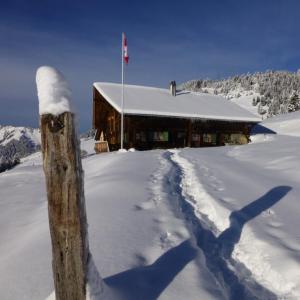 domek na śniegu z flagą w obiekcie Chalet Chanso w mieście Morgins