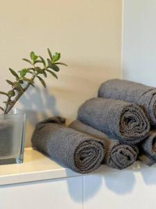 a pile of towels on a shelf with a plant at Family Apart nähe Nürnberg in Schwaig bei Nürnberg