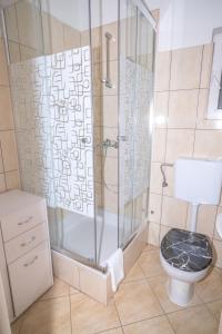 Koupelna v ubytování Apartment Bura