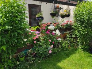 a garden with lots of flowers and plants at Schöne 3 Zi. Ferienwohnung vor den Toren Frankfurt in Dreieich