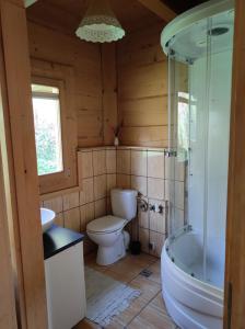 a bathroom with a toilet and a shower and a tub at Domek Pod Tatrami Kościelisko in Kościelisko