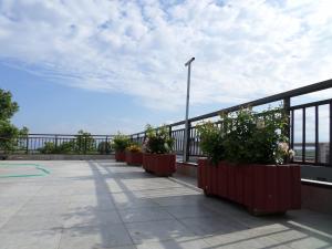 un balcone con una fila di piante in vaso di Villa Nikolas a Paralia Katerinis