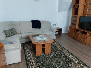 uma sala de estar com um sofá e uma mesa de centro em Domačija pri Ivankovih em Osilnica