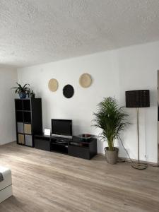 a living room with a tv and a potted plant at Gemütliche Wohnung in zentraler Lage in Graz