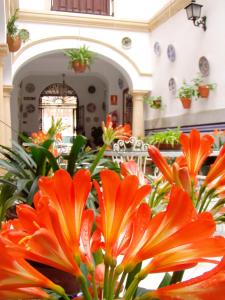 Fotografie z fotogalerie ubytování Hostal Maestre v destinaci Córdoba