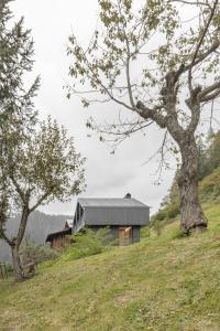 dom na szczycie wzgórza z drzewami w obiekcie Tabia' Stelo Fiorito w mieście Santo Stefano di Cadore