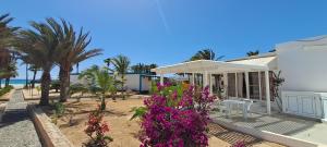 a white house with purple flowers and palm trees at KatlantiK Deluxe Villa in Sal Rei