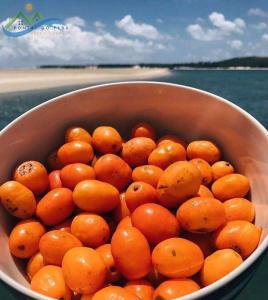 Foto da galeria de B&B Beach House Pousada Exclusiva pés na água Pontal do Peba única em Alagoas em Pontal do Peba