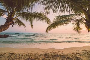 Foto da galeria de B&B Beach House Pousada Exclusiva pés na água Pontal do Peba única em Alagoas em Pontal do Peba