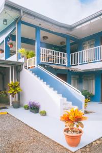 a blue and white house with stairs and potted plants at Hotel Alicia in Fortuna