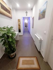 um corredor com uma planta no meio de uma sala em B&B Villa Agrumé em Messina