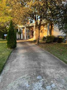 A garden outside Beautiful New Everything 3BD House in Hayfield