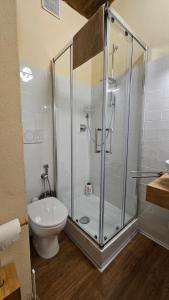 W łazience znajduje się prysznic, toaleta i umywalka. w obiekcie La Casa del Corso w mieście Arcidosso